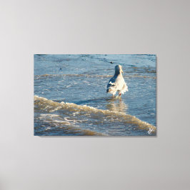 Freeland Mutiny Bay #2 Canvas Afdruk