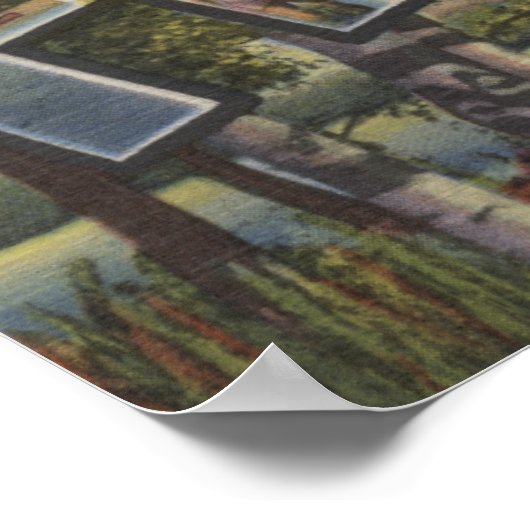 Freeman Lake - Grote Letter-scènes Poster (Hoek)