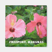 Freeport, Bahama's magneet (Voorkant)