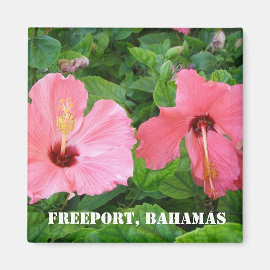 Freeport, Bahama's magneet (Voorkant)