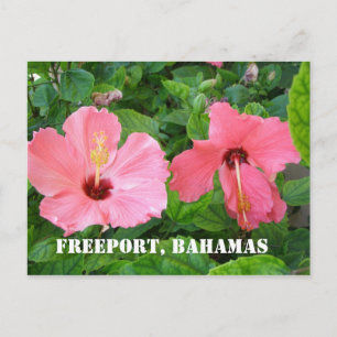 Freeport, Briefkaart Bahamas