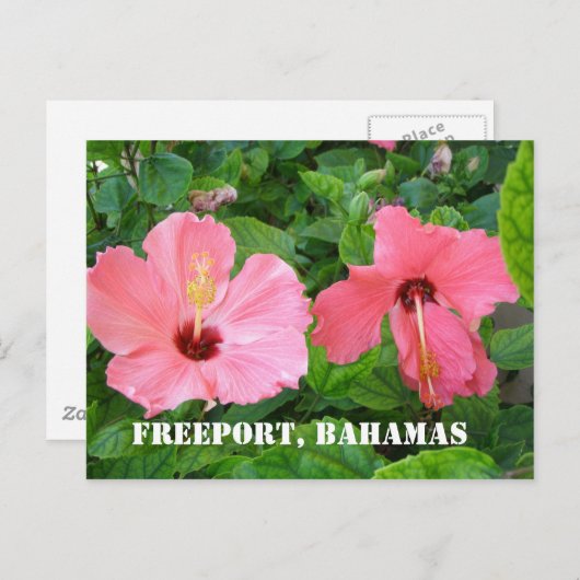 Freeport, Briefkaart Bahamas (Voorkant / Achterkant)