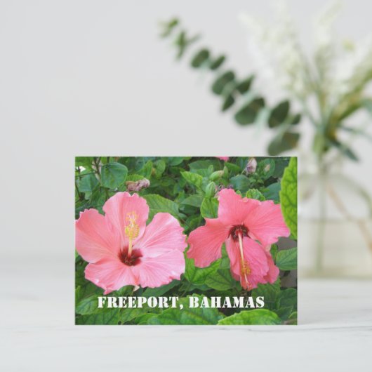 Freeport, Briefkaart Bahamas (Staand voorkant)