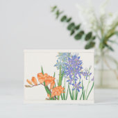 Freesia, Afrikaanse lelie van Tanigami Konan Briefkaart (Staand voorkant)