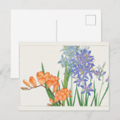 Freesia, Afrikaanse lelie van Tanigami Konan Briefkaart (Voorkant / Achterkant)
