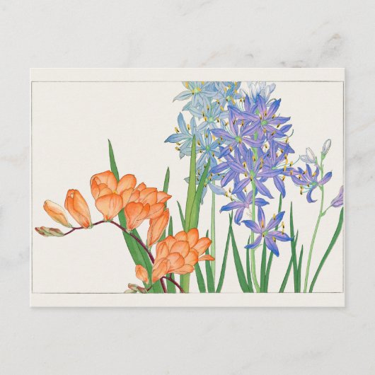 Freesia, Afrikaanse lelie van Tanigami Konan Briefkaart (Voorkant)