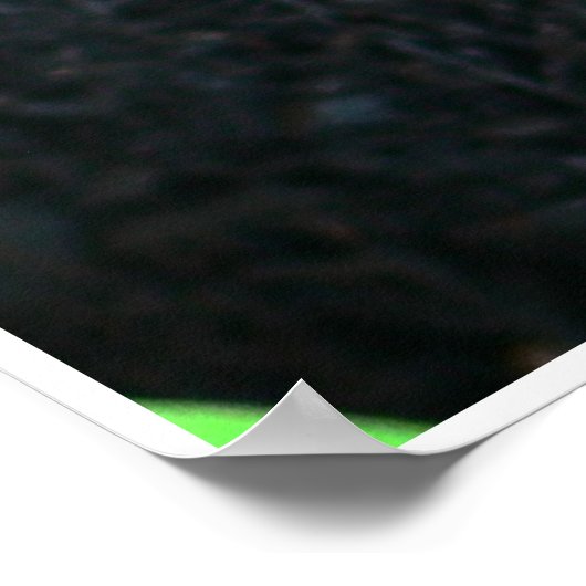 Freesia Bright Poster (Hoek)