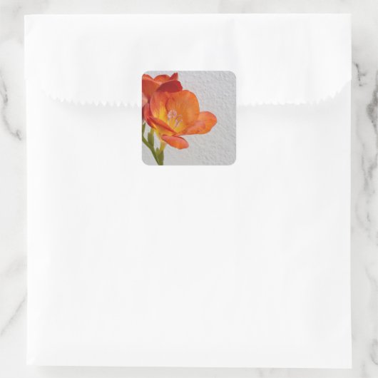 Freesia Flower Stickers met Copyspace (Tas)