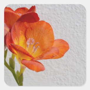Freesia Flower Stickers met Copyspace