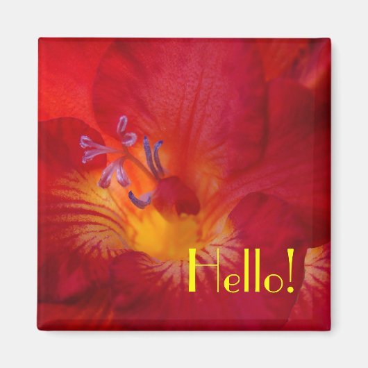 Freesia Hallo! Magneet (Voorkant)