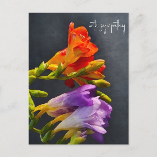 Freesia in een donkere achtergrond. Met sympathie Briefkaart (Voorkant)