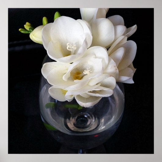 freesia night cup poster (Voorkant)