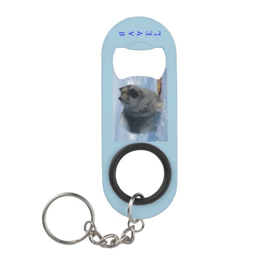 #freethekes Sleutelhanger/Bottle Open Sleutelhanger Flessenopener (Voorkant)