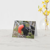 Fregatvogel Wenskaart Kaart (Gele Bloem)
