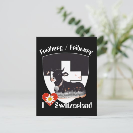 Freiburg / Fribourg Schweiz Suisse Postkarte Briefkaart (Staand voorkant)