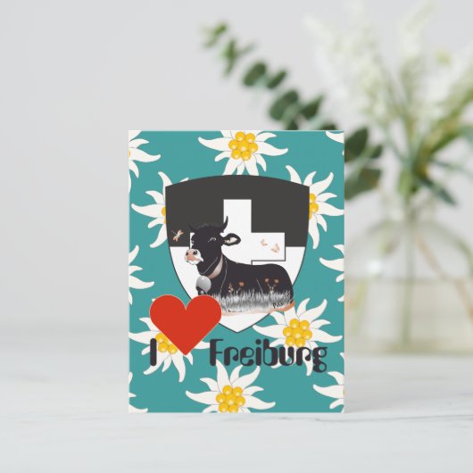 Freiburg / Fribourg Schweiz Suisse Postkarte Briefkaart (Staand voorkant)