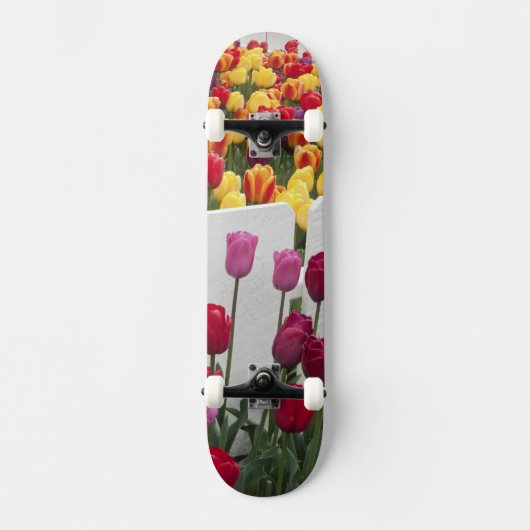 Fremont Zonnewende Optocht Skateboard (Voorkant)