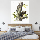 Fremont's eekhoorn, zeekhoorn, van Audubon Canvas Afdruk (Insitu (Slaapkamer))