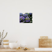 French Baby Blue Hydrangeas Poster (Keuken)