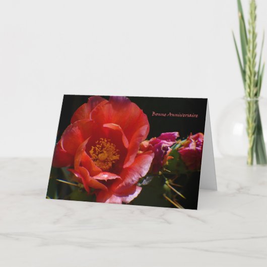 French Birthday Card Kaart (Voorkant)