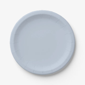 French Blue Paper Plates Papieren Bordje