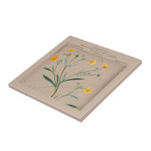 French Botanical Buttercup Illustration Tegeltje (Zijkant)