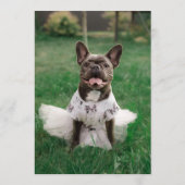 French Bulldog Bar Menu (Achterkant)