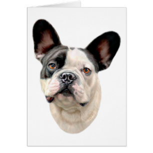 French Bulldog BW Bust