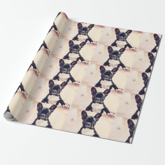 French Bulldog Cadeaupapier (Uitgerold)