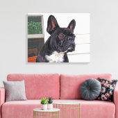 French Bulldog Canvas Afdruk (Insitu (Woonkamer))