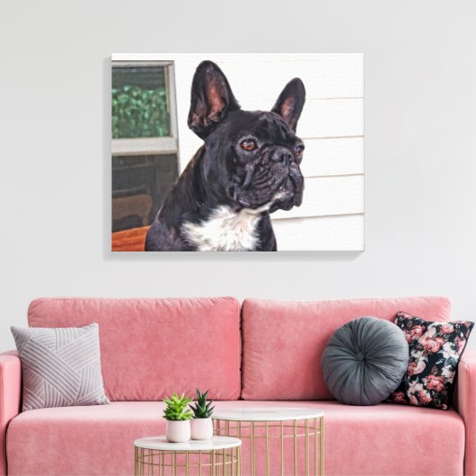 French Bulldog Canvas Afdruk (Insitu (Woonkamer))