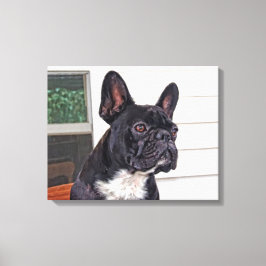 French Bulldog Canvas Afdruk