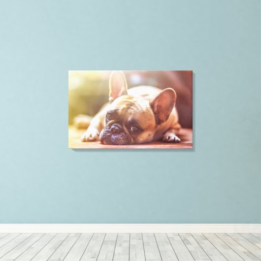 French Bulldog Canvas Afdruk (Insitu (Houten vloer))