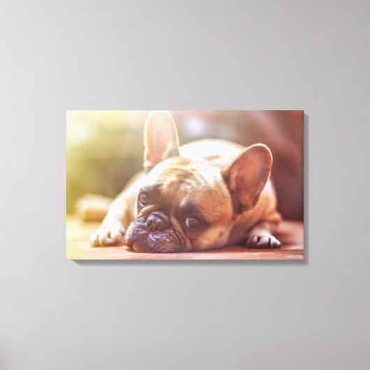 French Bulldog Canvas Afdruk (Voorkant)
