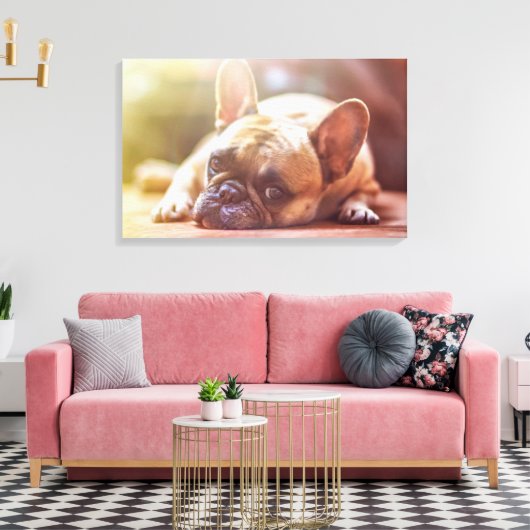 French Bulldog Canvas Afdruk (Insitu (Woonkamer))