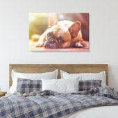 French Bulldog Canvas Afdruk (Insitu (Slaapkamer))