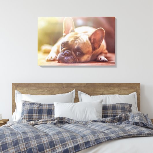 French Bulldog Canvas Afdruk (Insitu (Slaapkamer))