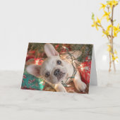 French Bulldog Christmas Card – Puppy in Lights Kaart (Gele Bloem)