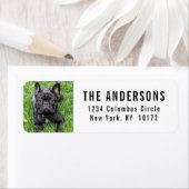 French Bulldog Custom Return Address Etiket (Insitu)