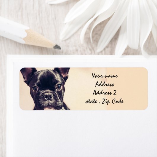 French Bulldog Etiket (Insitu)