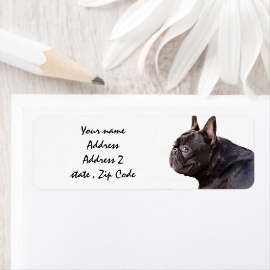 French Bulldog Etiket (Insitu)