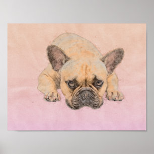 French Bulldog - Frenchie Dog Poster