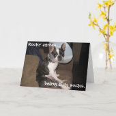 French Bulldog Get Well Soon Kaart (Gele Bloem)