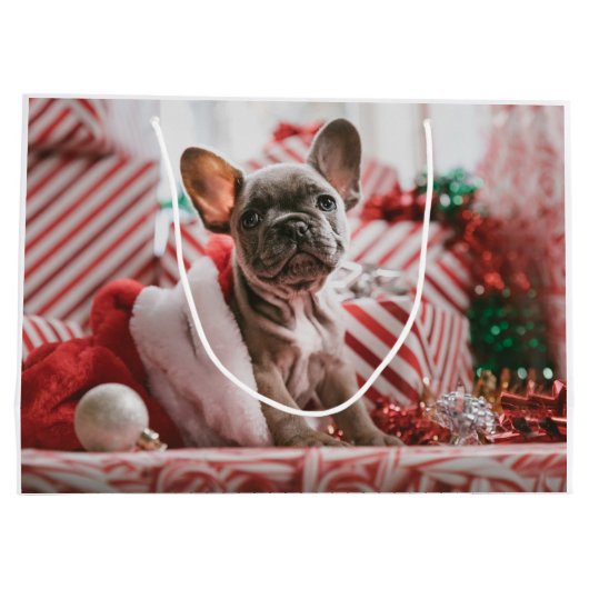 French Bulldog in Christmas Hat Groot Cadeauzakje (Achterkant)