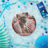 French Bulldog in Christmas Hat Papieren Bordje (Feest)