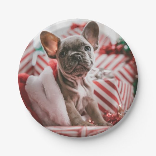 French Bulldog in Christmas Hat Papieren Bordje (Voorkant)