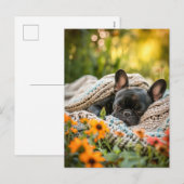 French Bulldog in Knitted Dog Attire Feestdagenkaart (Voorkant / Achterkant)