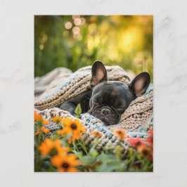 French Bulldog in Knitted Dog Attire Feestdagenkaart