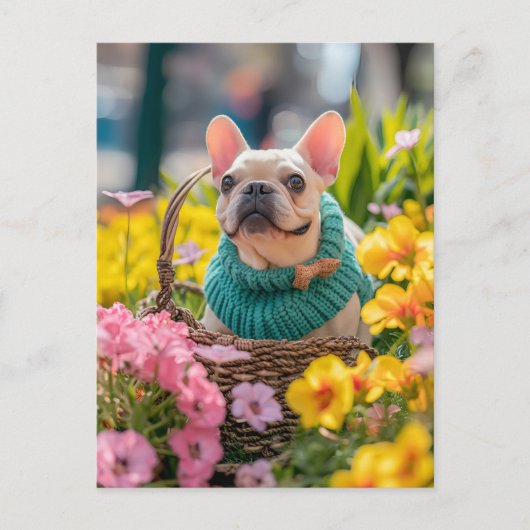 French Bulldog in Knitted Dog Attire Feestdagenkaart (Voorkant)