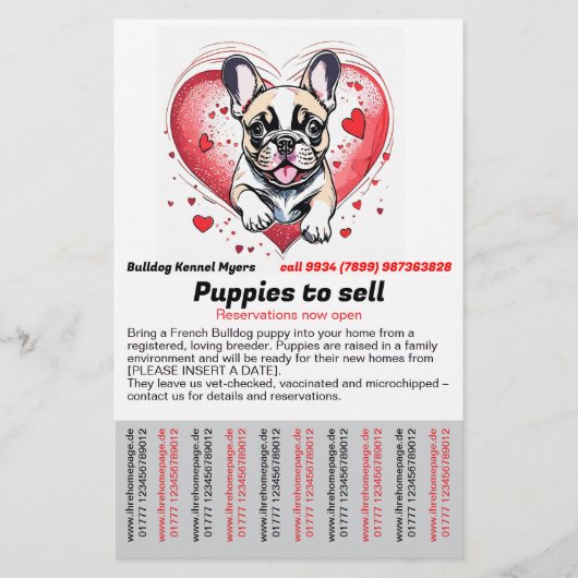 French Bulldog into your home Flyer (Voorkant)